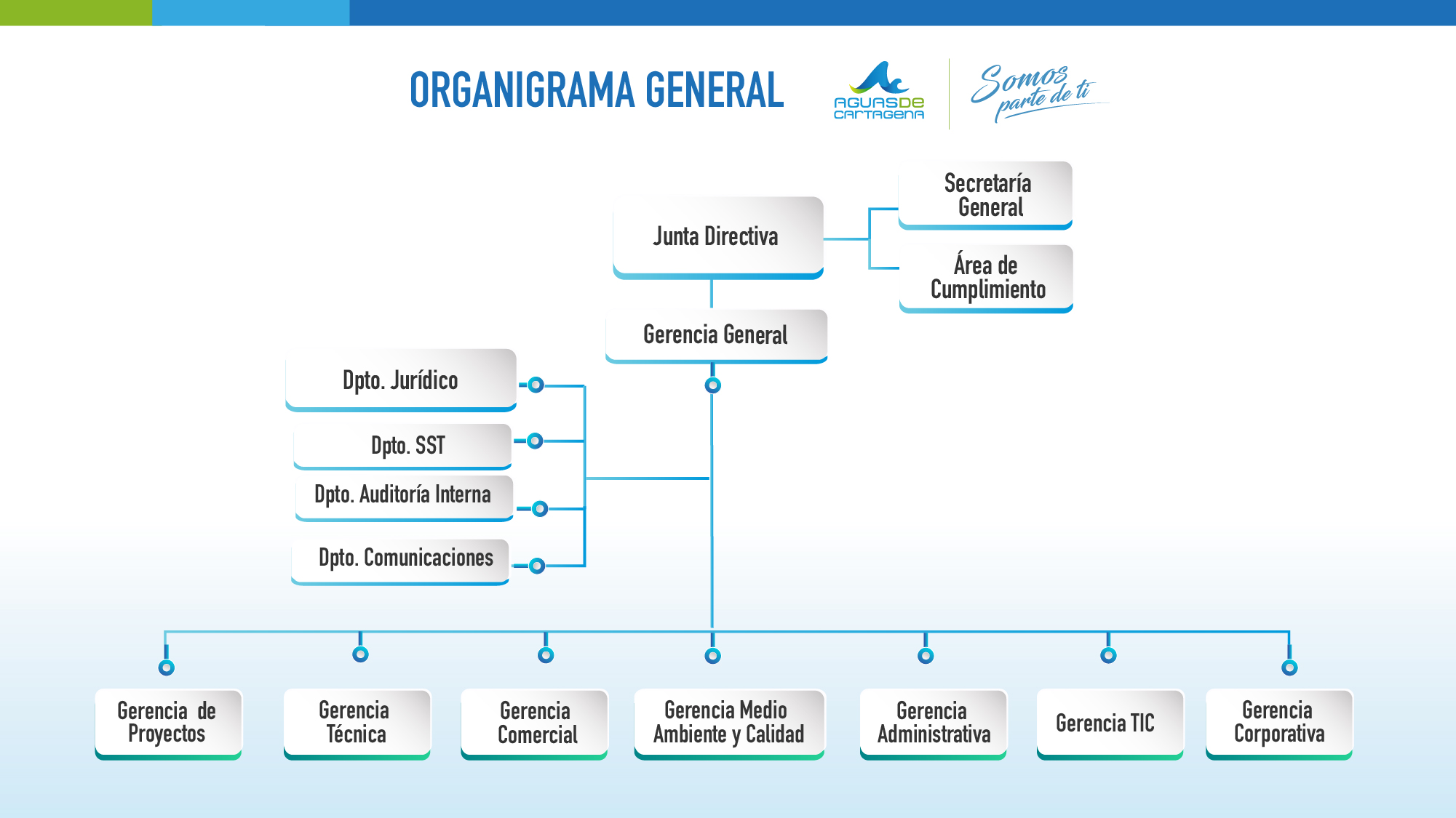 Estructura Coroporativa organigrama Aguas de Cartagena